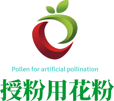 china advanced pollination methods of pear trees