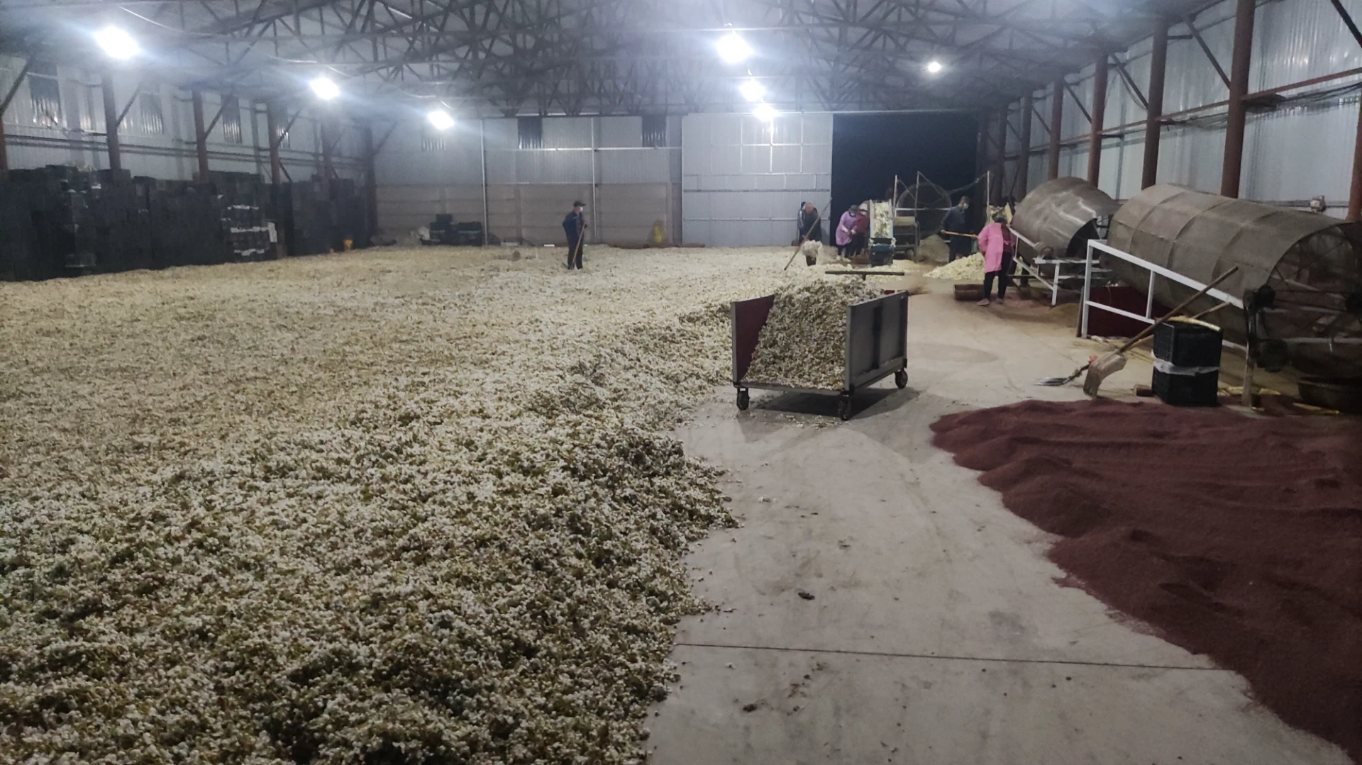 pear flower powder for pollination