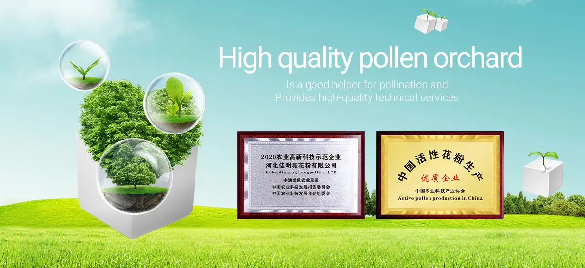 methods of collecting pear pollen product
