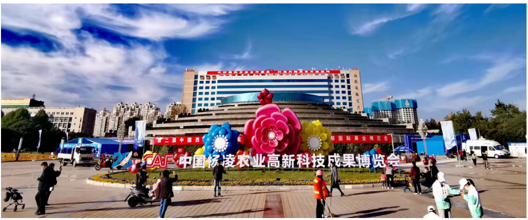 odm peach blossom powder uses
