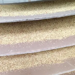 dock pollen